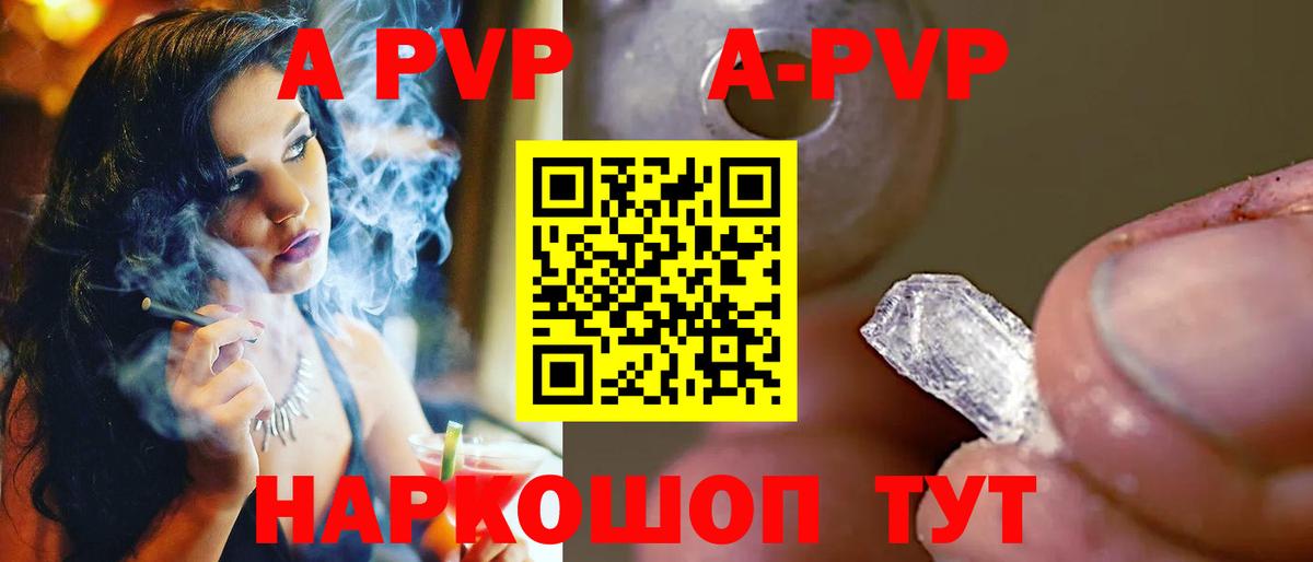 Alfa_PVP СК Владивосток