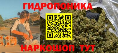 прущие крисы Балаково